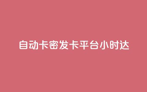 自动卡密发卡平台24小时达  第1张