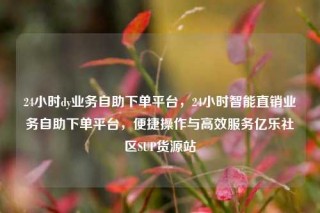 24小时dy业务自助下单平台，24小时智能直销业务自助下单平台，便捷操作与高效服务亿乐社区SUP货源站