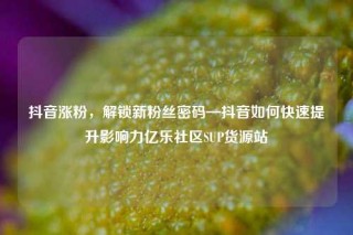 抖音涨粉，解锁新粉丝密码—抖音如何快速提升影响力亿乐社区SUP货源站