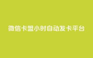 微信卡盟24小时自动发卡平台,云小店24小时下单平台 - 拼多多自动下单脚本 - 拼多多砍一刀代砍