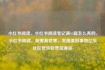小红书阅读，小红书阅读笔记满15篇怎么弄的，小红书阅读，探索新世界，发现美好事物亿乐社区低价自营货源站