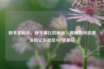 快手买粉丝，快手爆红的秘密，揭秘如何迅速涨粉亿乐社区SUP货源站