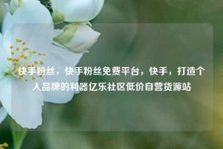 快手粉丝，快手粉丝免费平台，快手，打造个人品牌的利器亿乐社区低价自营货源站