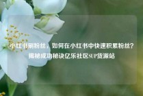 小红书刷粉丝，如何在小红书中快速积累粉丝？揭秘成功秘诀亿乐社区SUP货源站