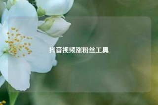 抖音视频涨粉丝工具
