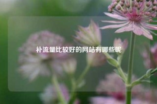补流量比较好的网站有哪些呢