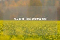 抖音自助下单流量商城在哪里