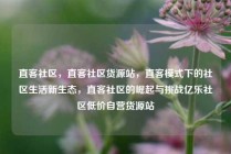 直客社区，直客社区货源站，直客模式下的社区生活新生态，直客社区的崛起与挑战亿乐社区低价自营货源站