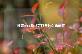 抖音10000粉丝可以开什么功能呢