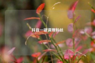 抖音一键清理粉丝