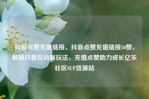 抖音点赞充值链接	，抖音点赞充值链接50赞，解锁抖音互动新玩法，充值点赞助力成长亿乐社区SUP货源站  第1张