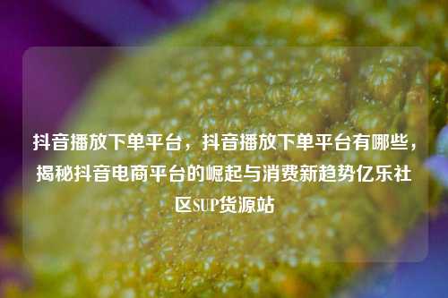 抖音播放下单平台，抖音播放下单平台有哪些	，揭秘抖音电商平台的崛起与消费新趋势亿乐社区SUP货源站  第1张