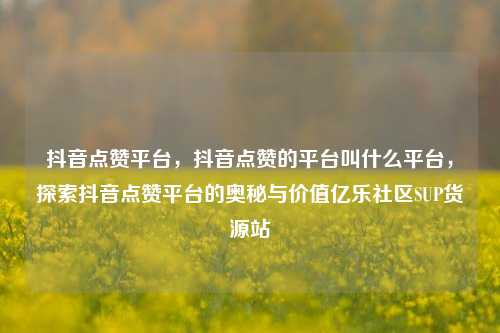 抖音点赞平台	，抖音点赞的平台叫什么平台，探索抖音点赞平台的奥秘与价值亿乐社区SUP货源站  第1张