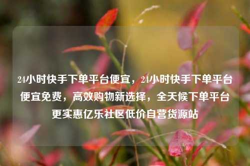 24小时快手下单平台便宜	，24小时快手下单平台便宜免费，高效购物新选择，全天候下单平台更实惠亿乐社区低价自营货源站  第1张
