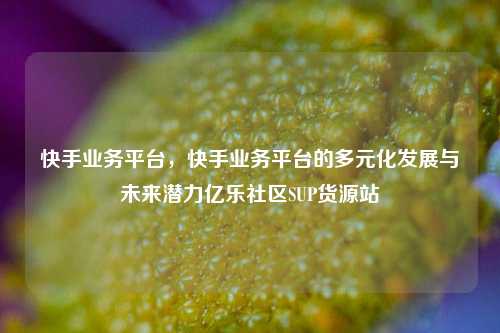 快手业务平台	，快手业务平台的多元化发展与未来潜力亿乐社区SUP货源站  第1张