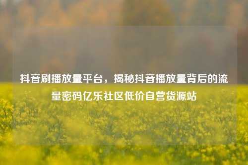 抖音刷播放量平台，揭秘抖音播放量背后的流量密码亿乐社区低价自营货源站  第1张
