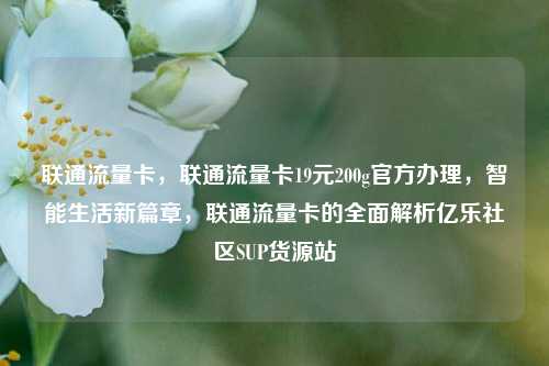 联通流量卡，联通流量卡19元200g官方办理，智能生活新篇章	，联通流量卡的全面解析亿乐社区SUP货源站  第1张