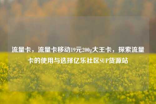 流量卡	，流量卡移动19元200g大王卡，探索流量卡的使用与选择亿乐社区SUP货源站  第1张