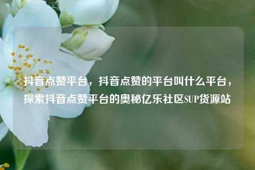抖音点赞平台	，抖音点赞的平台叫什么平台，探索抖音点赞平台的奥秘亿乐社区SUP货源站  第1张