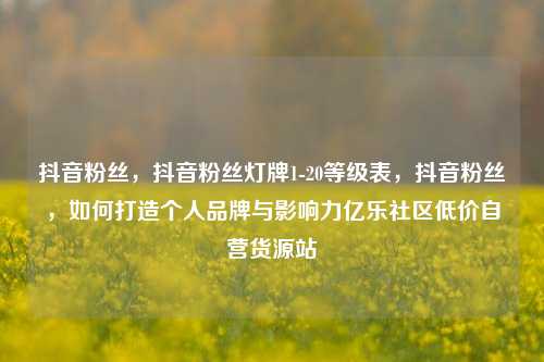 抖音粉丝，抖音粉丝灯牌1-20等级表，抖音粉丝	，如何打造个人品牌与影响力亿乐社区低价自营货源站  第1张
