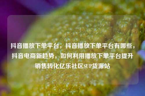 抖音播放下单平台，抖音播放下单平台有哪些	，抖音电商新趋势，如何利用播放下单平台提升销售转化亿乐社区SUP货源站  第1张
