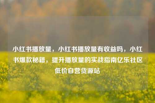 小红书播放量，小红书播放量有收益吗，小红书爆款秘籍	，提升播放量的实战指南亿乐社区低价自营货源站  第1张