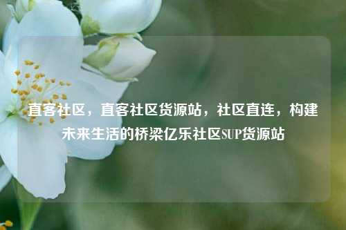 直客社区，直客社区货源站	，社区直连，构建未来生活的桥梁亿乐社区SUP货源站  第1张