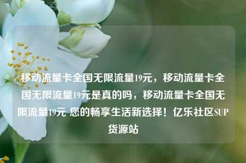 移动流量卡全国无限流量19元，移动流量卡全国无限流量19元是真的吗	，移动流量卡全国无限流量19元 您的畅享生活新选择！亿乐社区SUP货源站  第1张