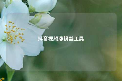 抖音视频涨粉丝工具  第1张