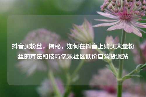 抖音买粉丝	，揭秘，如何在抖音上购买大量粉丝的方法和技巧亿乐社区低价自营货源站  第1张