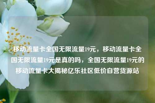 移动流量卡全国无限流量19元	，移动流量卡全国无限流量19元是真的吗，全国无限流量19元的移动流量卡大揭秘亿乐社区低价自营货源站  第1张