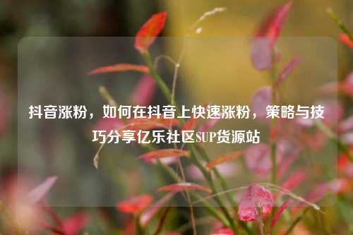 抖音涨粉，如何在抖音上快速涨粉	，策略与技巧分享亿乐社区SUP货源站  第1张