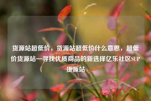 货源站超低价，货源站超低价什么意思	，超低价货源站—寻找优质商品的新选择亿乐社区SUP货源站  第1张