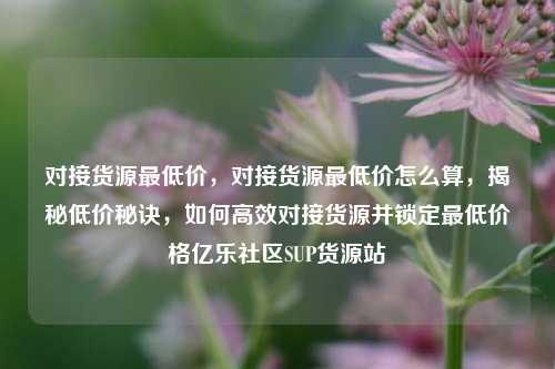 对接货源最低价，对接货源最低价怎么算，揭秘低价秘诀，如何高效对接货源并锁定最低价格亿乐社区SUP货源站  第1张