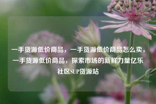 一手货源低价商品	，一手货源低价商品怎么卖，一手货源低价商品，探索市场的新鲜力量亿乐社区SUP货源站  第1张