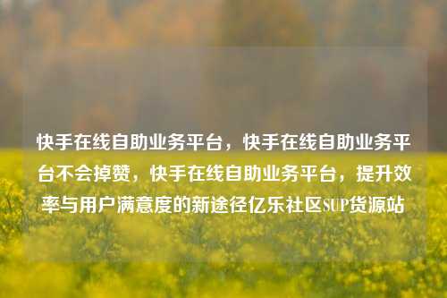 快手在线自助业务平台	，快手在线自助业务平台不会掉赞，快手在线自助业务平台，提升效率与用户满意度的新途径亿乐社区SUP货源站  第1张