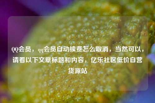 QQ会员，qq会员自动续费怎么取消	，当然可以，请看以下文章标题和内容，亿乐社区低价自营货源站  第1张
