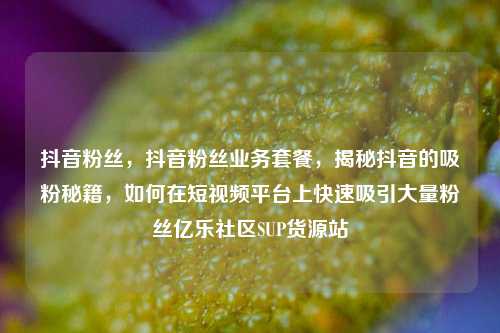 抖音粉丝，抖音粉丝业务套餐，揭秘抖音的吸粉秘籍	，如何在短视频平台上快速吸引大量粉丝亿乐社区SUP货源站  第1张