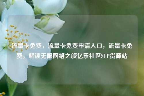流量卡免费，流量卡免费申请入口	，流量卡免费，解锁无限网络之旅亿乐社区SUP货源站  第1张