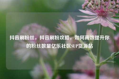 抖音刷粉丝，抖音刷粉攻略，如何高效提升你的粉丝数量亿乐社区SUP货源站  第1张