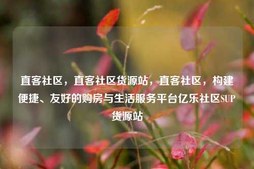 直客社区，直客社区货源站	，直客社区，构建便捷、友好的购房与生活服务平台亿乐社区SUP货源站  第1张