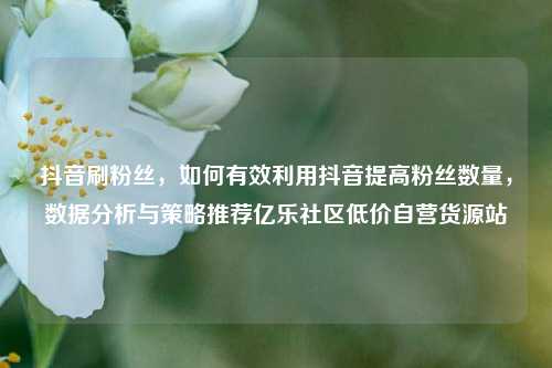抖音刷粉丝，如何有效利用抖音提高粉丝数量，数据分析与策略推荐亿乐社区低价自营货源站  第1张