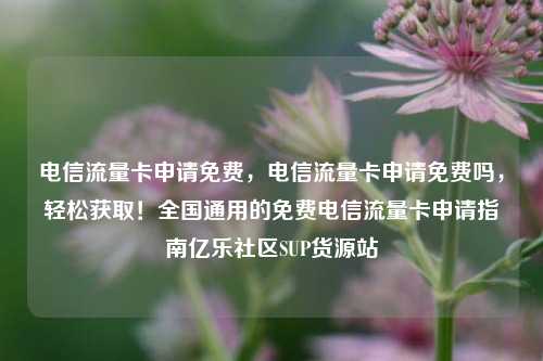 电信流量卡申请免费	，电信流量卡申请免费吗，轻松获取！全国通用的免费电信流量卡申请指南亿乐社区SUP货源站  第1张
