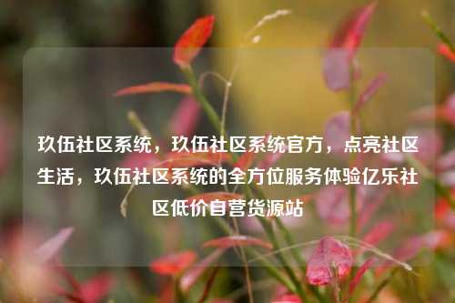 玖伍社区系统，玖伍社区系统官方	，点亮社区生活，玖伍社区系统的全方位服务体验亿乐社区低价自营货源站  第1张