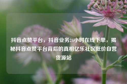 抖音点赞平台	，抖音业务24小时在线下单，揭秘抖音点赞平台背后的真相亿乐社区低价自营货源站  第1张