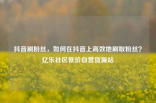 抖音刷粉丝，如何在抖音上高效地刷取粉丝？亿乐社区低价自营货源站  第1张