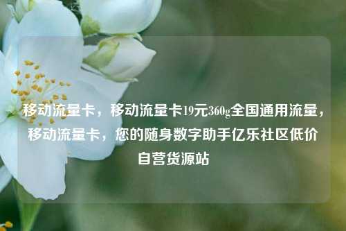 移动流量卡，移动流量卡19元360g全国通用流量	，移动流量卡，您的随身数字助手亿乐社区低价自营货源站  第1张