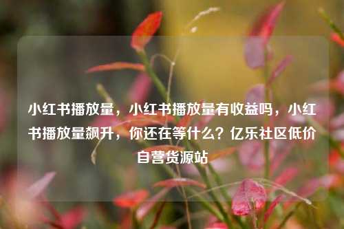 小红书播放量，小红书播放量有收益吗，小红书播放量飙升	，你还在等什么？亿乐社区低价自营货源站  第1张