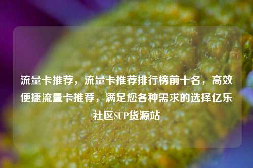 流量卡推荐，流量卡推荐排行榜前十名	，高效便捷流量卡推荐，满足您各种需求的选择亿乐社区SUP货源站  第1张