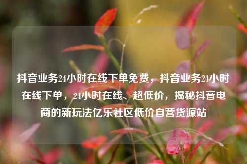 抖音业务24小时在线下单免费	，抖音业务24小时在线下单，24小时在线、超低价，揭秘抖音电商的新玩法亿乐社区低价自营货源站  第1张